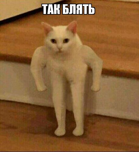 Желідегі жазғы өзеннің эротикалық фотосуреттері