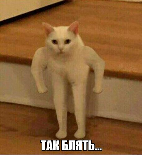 Рената Литвинова және секс Пенисіңізді тік ұстау үшін таңып қойыңыз.