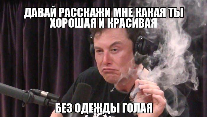 Бомжи на выезде ебут собак