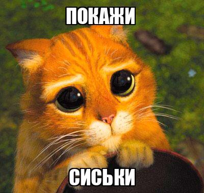 покажи сиськи $'' Покажи Сиськи - Memchik.ru