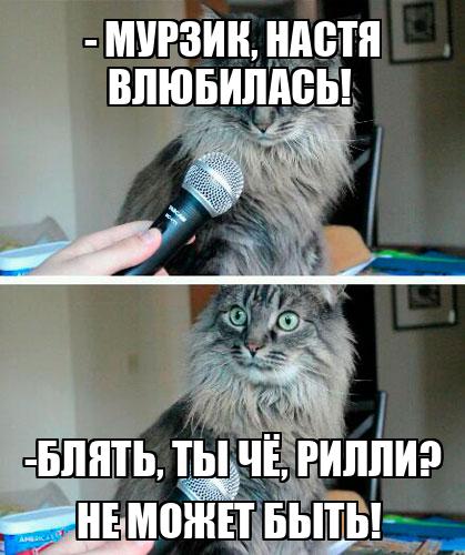 Толып жатқан адамдар семіз әйелдерді