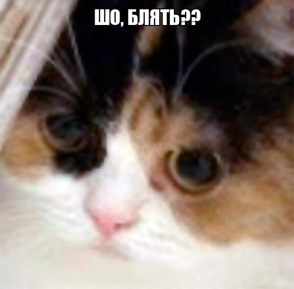 әлеуметтік желілер минет