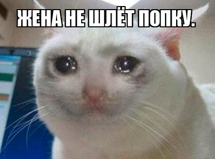 анус жены 