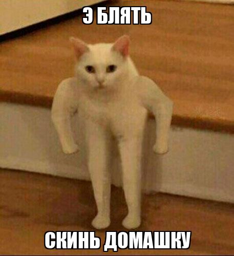 Е, блять