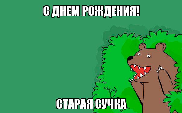 У меня старая собака. Как ей помочь? Советы экспертов и опытного собаковода — balkharceramics.ru