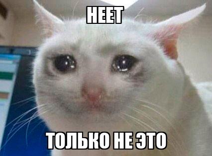 5dd83ff9b1c7e325f44aa7d2.jpg
