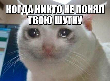 5eb88626b1c7e3272b303014.jpg