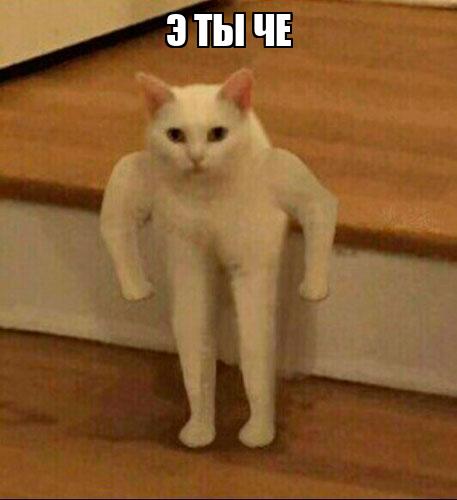 606f58fcb1c7e335300e557a.jpg