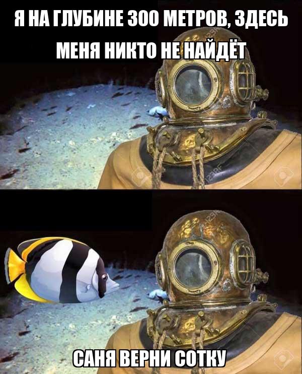 Найди саню