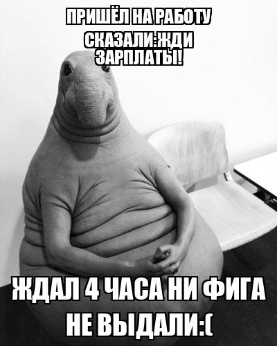 Зарплата пришла прикол. Мемы про зарплату собака. Зарплатаааааа прикол. Сказали ждать зарплату можно ждать можно. Смешные картинки про зарплату ждем.