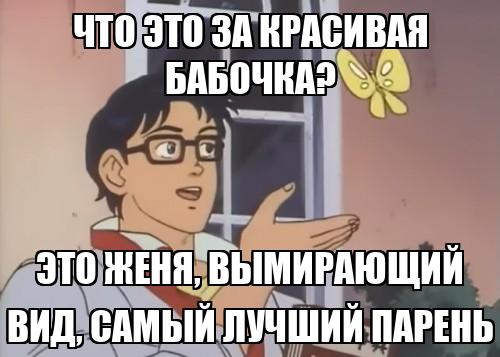 Мем с бабочкой