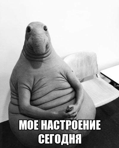 5c7cba80b1c7e319c403d623.jpg