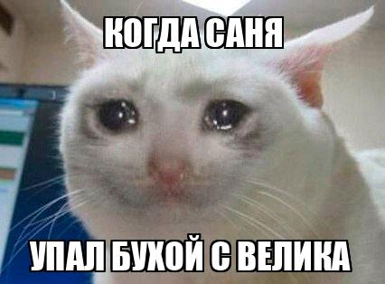 Пока не смотрит вниз не падает. Упал мем. Упал мем. Не упади пожалуйста. Котоматрица 1 апреля.