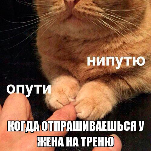 Работушка любимая картинки