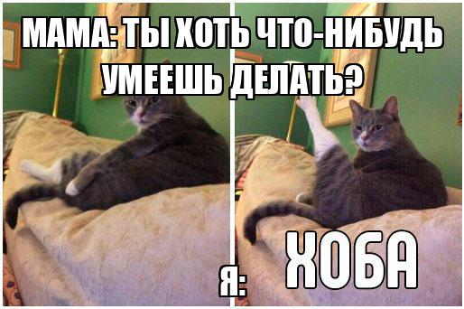 Он ничего не умеет делать. Что делать когда нечего делать. Он ничего не умеет делать. Мемы про разработку проектов. Он ничего не умеет делать.