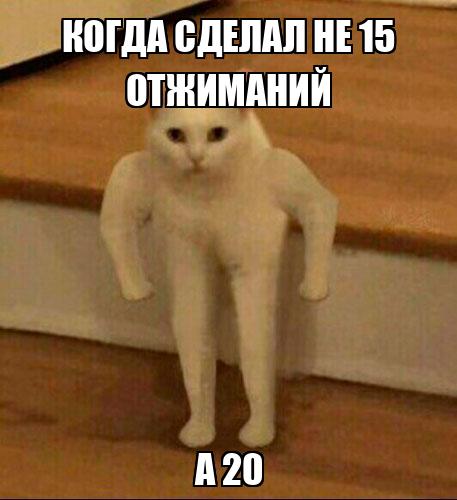 План на день отжимания мем
