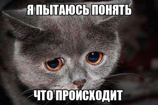 Мемы. Дроп мем. Пираты карибского моря приеоля. У меня сложный период в жизни. Я пытался понять.