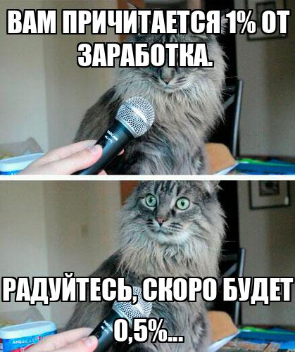 С меня причитается что означает. С меня причитается что означает. Кот тут. С меня причитается что означает. Причитается это.