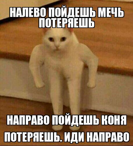 Я пошел вправо