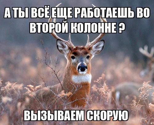 А ты всё еще работаешь во второй колонне ? Вызываем скорую - Memchik.ru